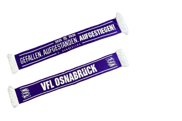 Aufstiegsschal (1).png