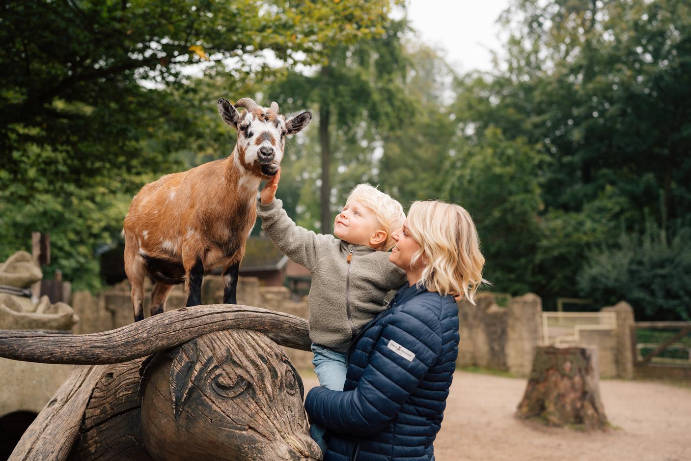 Zoo_Kampagne.jpg